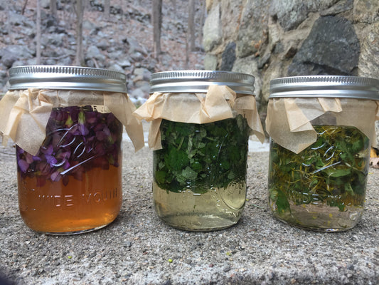 Embark on a Personalized Wellness Journey: Holistic Consultations & Custom Herbal Formulations