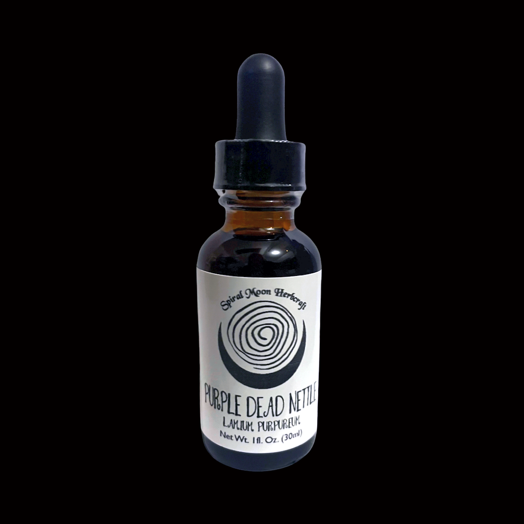 Purple Dead Nettle Tincture