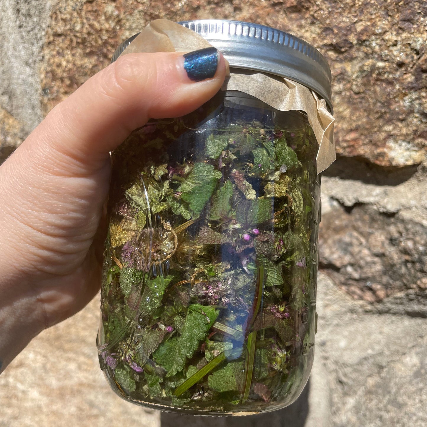 Purple Dead Nettle Tincture