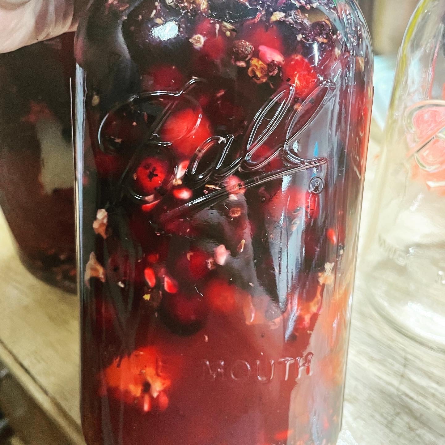 Crimson Eclipse Oxymel 8oz, honey sweetened cranberry pomegranate tonic