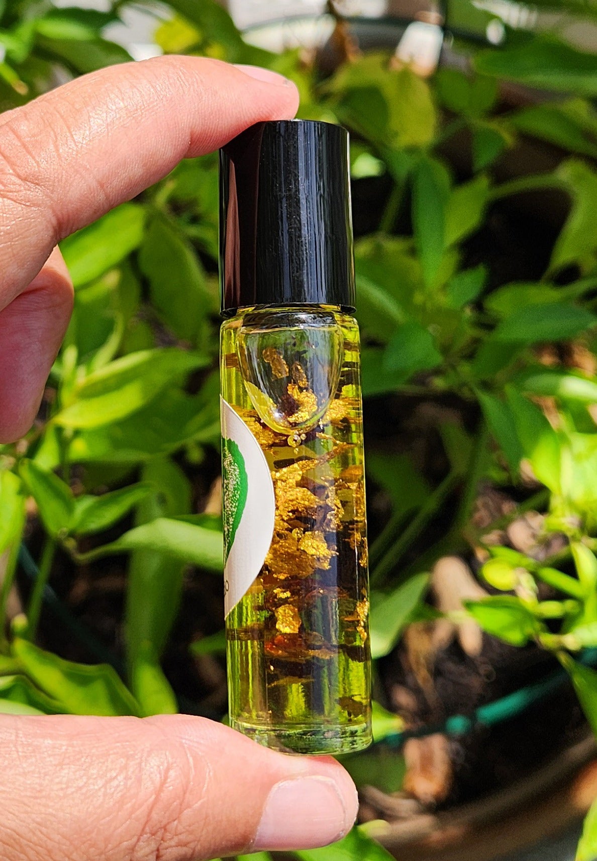 Dragon Song oil